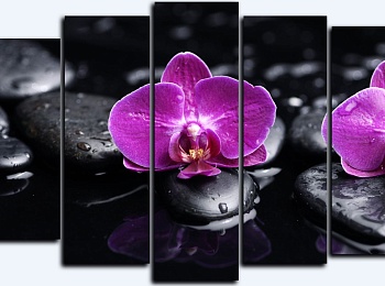 Модульная картина на стекле – Орхидеи