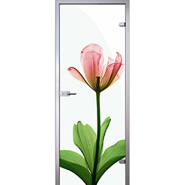 Дверь Рентгеновский снимок цветка тюльпана D_1023577717 слайд 1