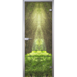 Дверь Туннель из лесных деревьев D_457657699 слайд 1