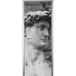 Дверь Копия статуи Давида Микеланджело Флоренция D_1011592927 слайд 1