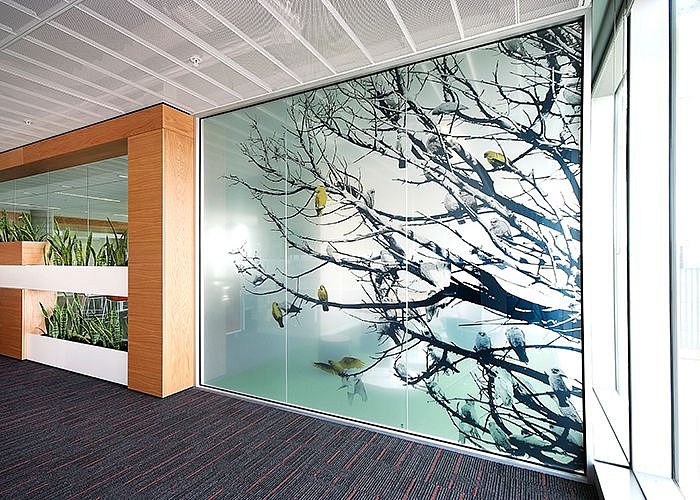 Закалённая стеклянная офисная перегородка с фотопечатью дерева превью слайда 1