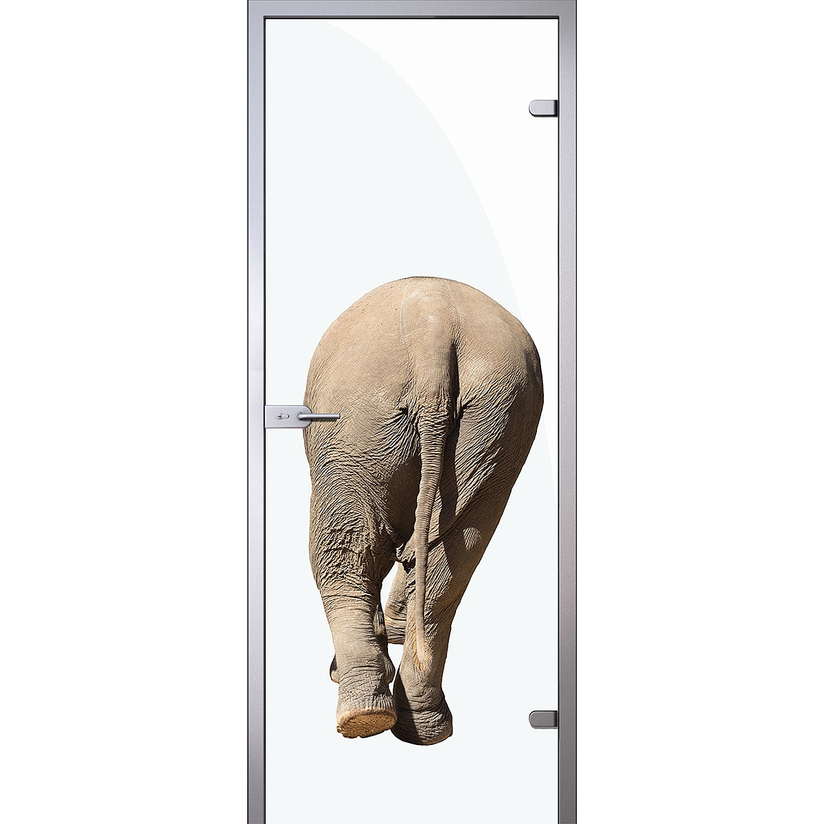 Дверь Зад слона на белом фоне D_579064615 превью слайда 1