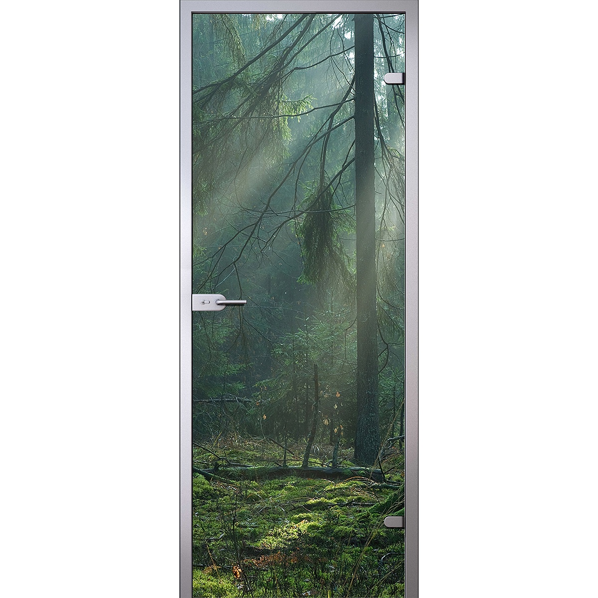 Солнечные лучи в тумане осеннего леса D_43714600 превью слайда 1