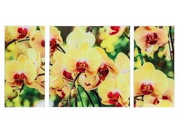 Модульная картина на стекле – Солнечные орхидеи