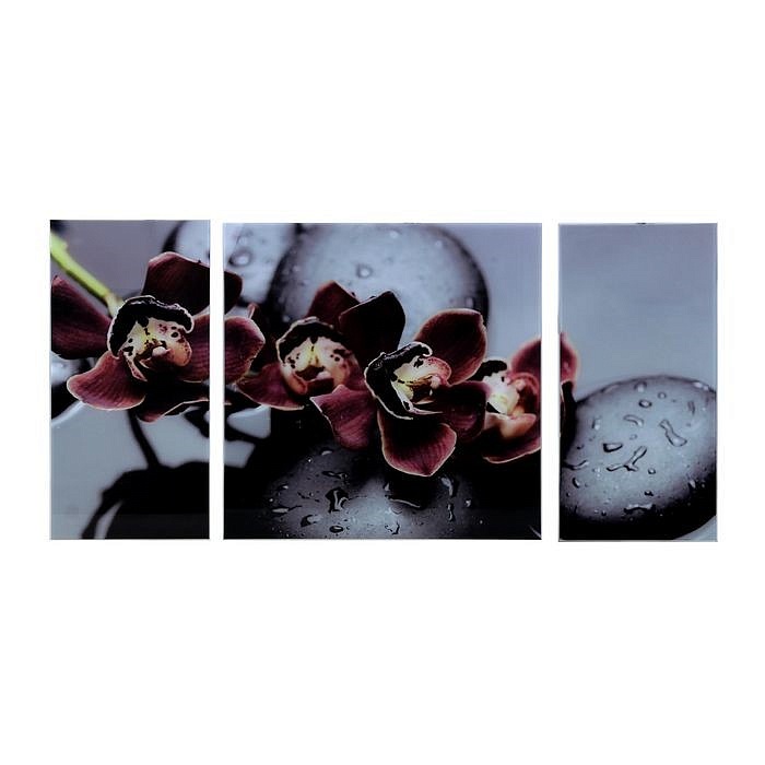 Модульная картина на стекле – Чёрная орхидея превью слайда 1