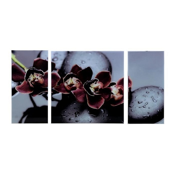 Модульная картина на стекле – Чёрная орхидея слайд 1