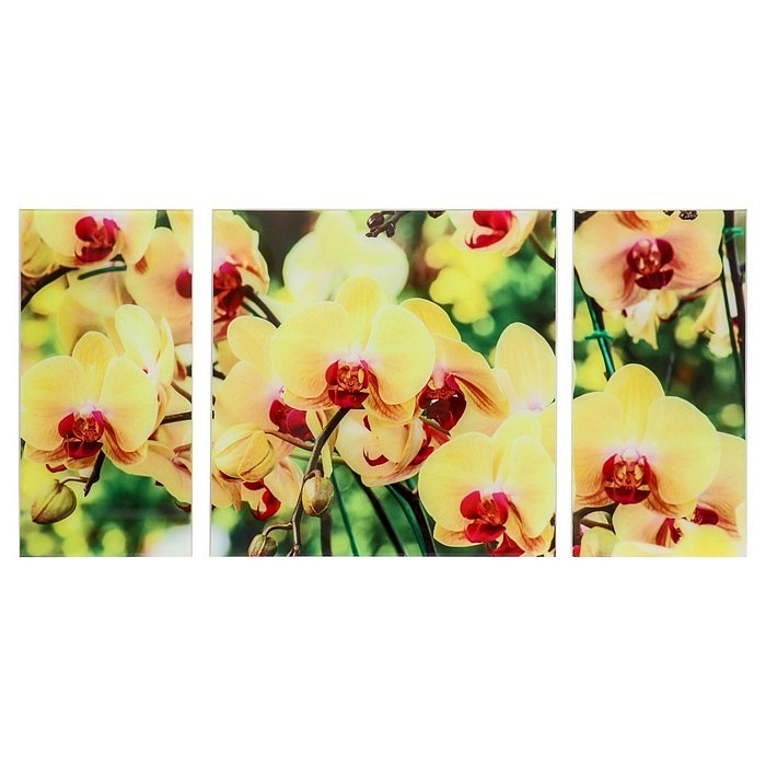 Модульная картина на стекле – Солнечные орхидеи превью слайда 1
