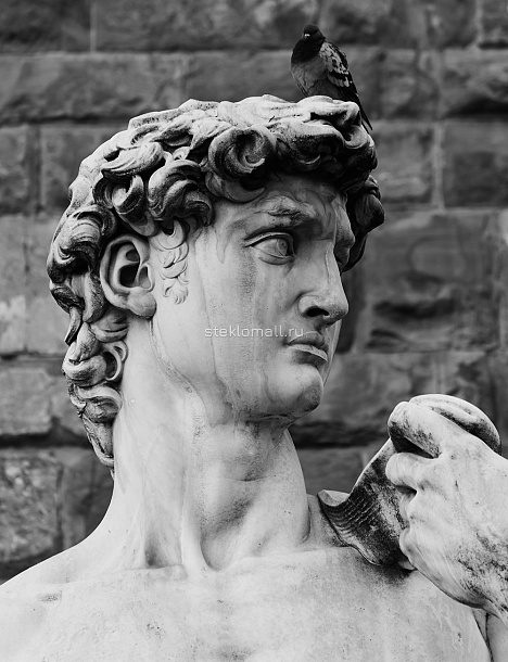 Дверь Копия статуи Давида Микеланджело Флоренция D_1011592927 слайд 2