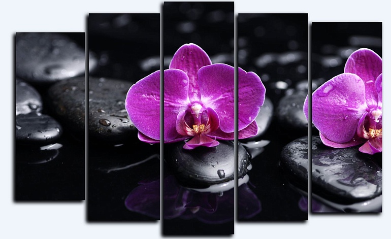 Модульная картина на стекле – Орхидеи слайд 1