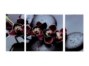 Модульная картина на стекле – Чёрная орхидея