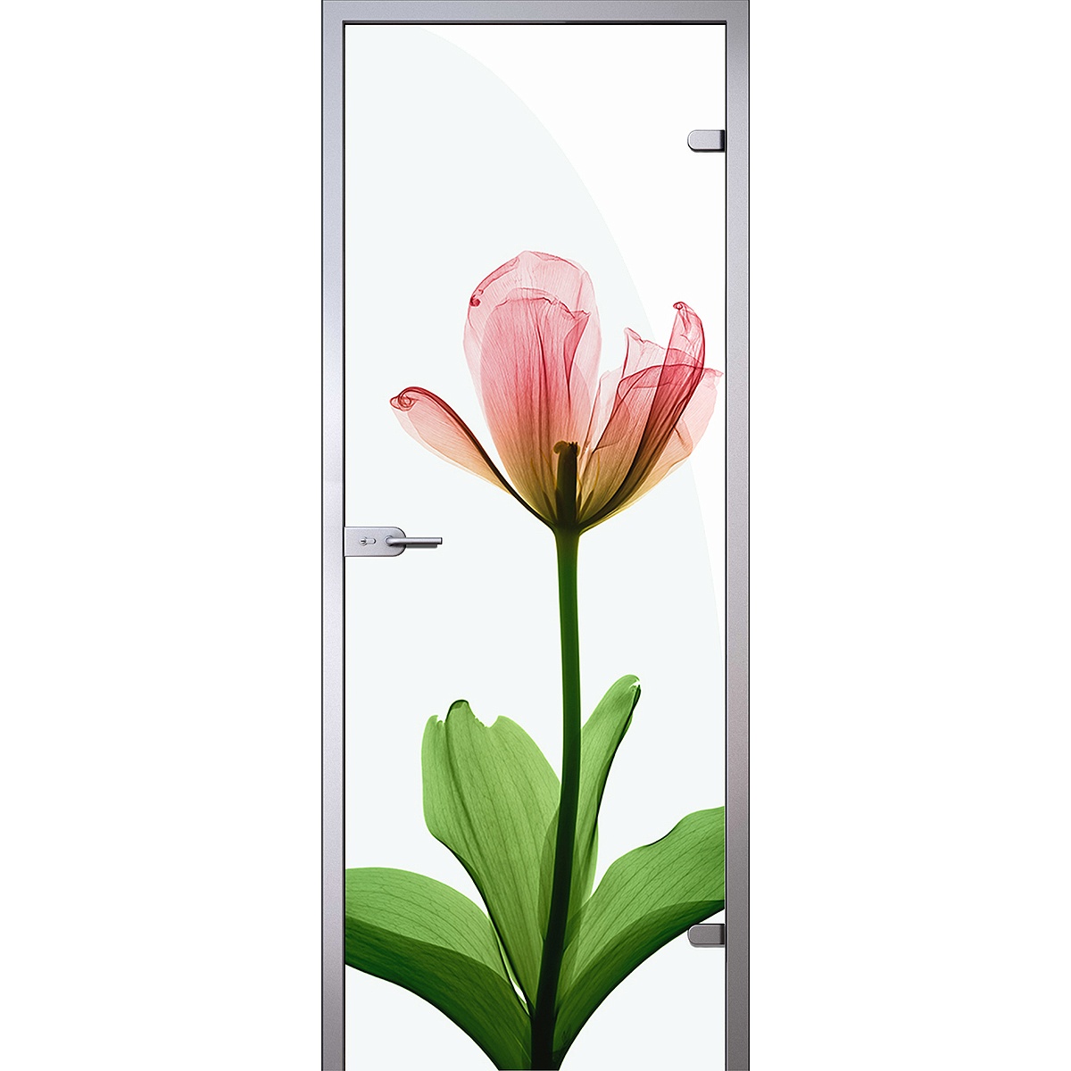 Дверь Рентгеновский снимок цветка тюльпана D_1023577717 превью слайда 1