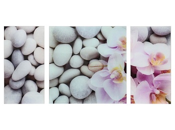 Модульная картина на стекле – Цветы на камнях   слайд 1