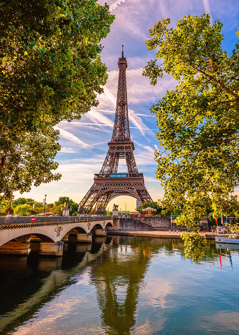 Дверь Эйфелева башня и река Сена в Париже D_1048826999 превью слайда 2