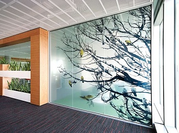 Закалённая стеклянная офисная перегородка с фотопечатью дерева слайд 1