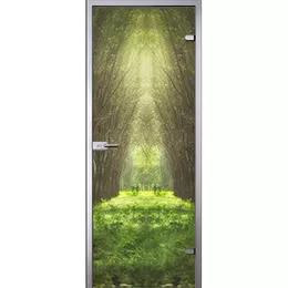 Дверь Туннель из лесных деревьев D_457657699 слайд 1